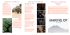 Programma 1 - WordPress.com