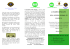 brochure Carlton - Associazione padri separati