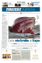 Lunedì 27 Aprile 2015 - Corriere di Bologna