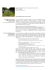 abstract e biografie relatori (PDF | 232.30 Kb)