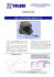 CASCO VOLO - Telegi Srl
