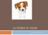 La storia di Willie di Michela Cerami 2014