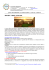 project ireland 2014 - Informagiovani Cossato
