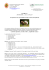 corso cavallo