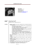 curriculum vitae