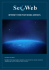 internet web positioning services