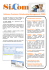 Software Customer Relationship Management (CRM)