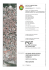 STUDIO GEOLOGICO IDROGEOLOGICO E SISMICO RELAZIONE