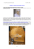 Capitolo 4 - Free-Energy-Info