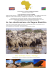 La tua destinazione da Sogno:Namibia