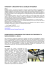 Scarica il pdf dell`articolo.