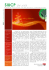 Copia di SIUCP on Web n.0