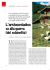 L`aristocontadina va alla guerra (del rubinetto)