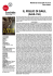 Scheda fronte - Cineforum Ezechiele 25,17