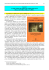 Capitolo 8 LA PdF COME SECONDO PILASTRO PORTANTE