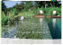 Piscine Naturali