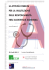 Programma del corso