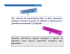 (Microsoft PowerPoint - Acquisizione e distribuzione dati [modalit