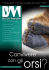 dicembre 2012 - Belluno Magazine
