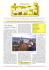 Newsletter settembre 2006