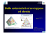 Dalla sedentarietà al sovrappeso ed obesità