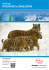 catalogo FRIGORIFERI e CONGELATORI