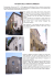 Ravenna nella Divina Commedia - Accoglienza Turistica a Ravenna