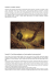 Domanda 22 – Immagine e copertina Quarantun
