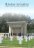 Ritorno in Galizia - trentinograndeguerra.it
