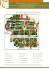 Mappa di Villa d`Este e percorso di visita