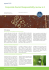 Corporate Social Responsibility review n.2