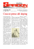 NUMERO 198 b in edizione telematic1