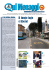 QUI MENAGGIO Marzo 2010 (1.8 Mb - pdf)