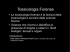 Tossicologia Forense