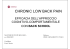 Lombalgia cronica