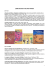 LIBRI ITALIANO