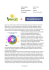Relazione Finale - Turismo e Social Network