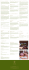 MENU SPA 02.indd