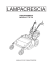 TTR720 (seconda serie)