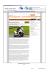 motori.it.msn.com