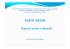 Paesi Arabi - Istituto Comprensivo Spinea 1