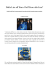 Dalla Lira all`Euro. Dall`Euro alla Lira?