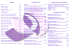 brochure posteriore SPA
