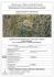 C:\DATI\DISEGNI\SAN MARTINO\poin\poin piero giugno 2013