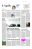 prima fiera in città-pdf