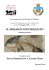 il mosaico non spazzato