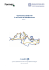 Governance delle reti in sei Paesi del Mediterraneo