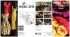 Scarica la brochure del Museo - Museo Didattico della Seta di Como