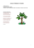 Piantiamo l`albero nuovo - Fondazione Sorella Natura