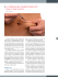 LA TERAPIA DEL DIABETE MELLITO: COSA C`è DI